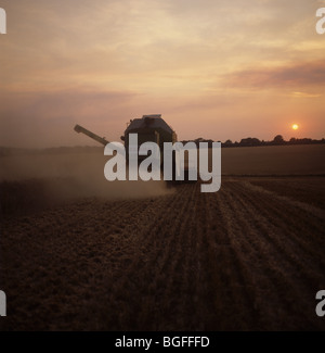 Combiner la récolte tard un soir d'été avec le soleil baigné dans la lumière orange, Berkshire Banque D'Images