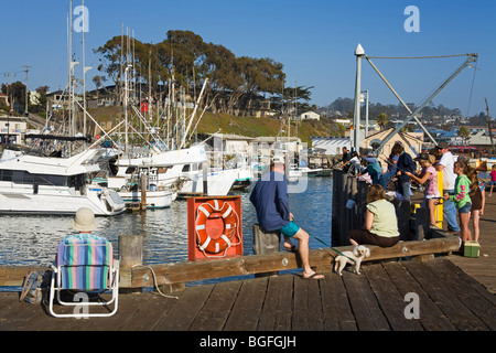 Pier,pêche,Embarcadero Ville de Morro Bay, San Luis Obispo County,California,USA Banque D'Images