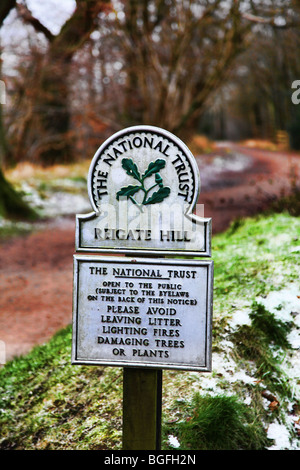 Reigate Hill National Trust à pied, chemin North Downs Banque D'Images