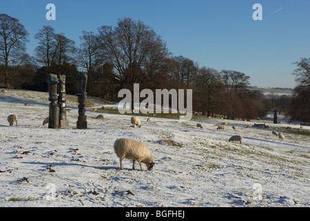 YORKSHIRE SCULPTURE PARK HENRY MOORE WEST BRETTON HIVER NEIGE MOUTONS Banque D'Images