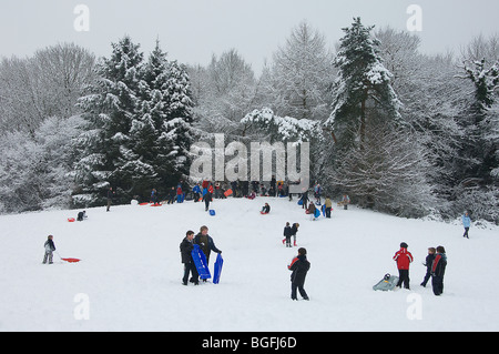 Les gens jouent dans la neige au cours de UK de froid Janvier 2010 Banque D'Images