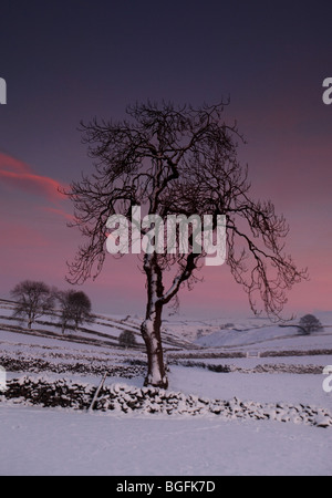 Scène paysage près de Litton Village dans le Peak District tard un soir, au cours de l'accumulation de neige de l'hiver 2010. Banque D'Images