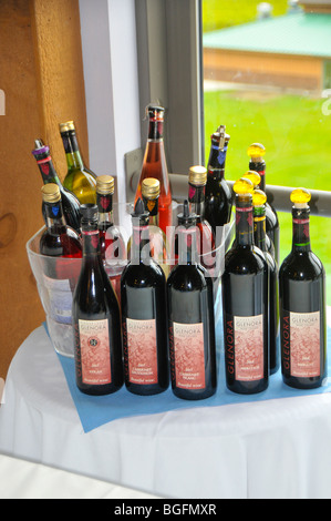 Fournitures de dégustation Finger Lakes Region New York Winery Banque D'Images