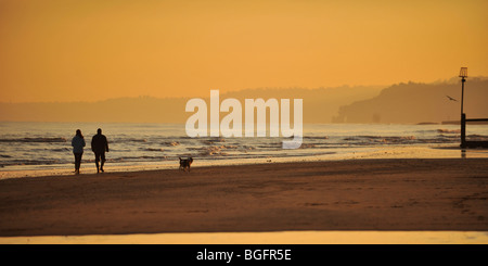 Couple dog walking on sunset beach Banque D'Images
