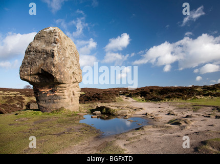 Le Liège Pierre sur Stanton Moor entre Birchover et Rowsley dans le Derbyshire Peak District, UK Banque D'Images