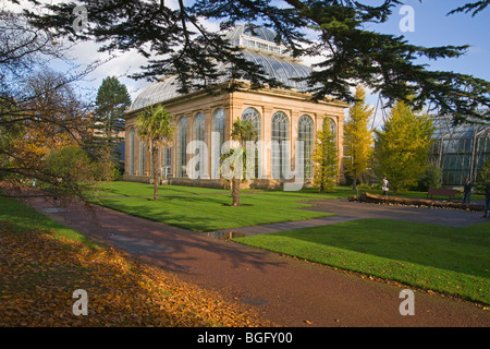 Couleurs d'automne, Palm House, Edimbourg, Royal Botanic Gardens, Lothians, Ecosse, Octobre 2009 Banque D'Images