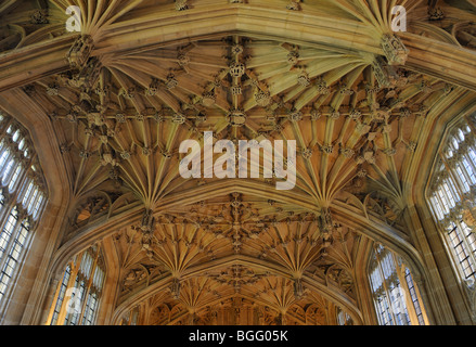 Plafond de la Divinity School, Oxford - Angleterre Banque D'Images