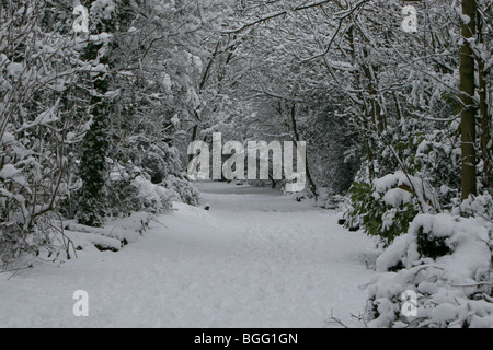 Large sentier enneigé intact dans le cimetière Nunhead, Londres Banque D'Images