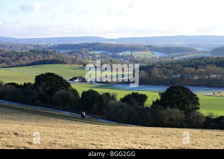 La vue de Albury près de Newlands Corner juste à côté de l'A25 entre Guildford et Dorking Surrey England UK Banque D'Images