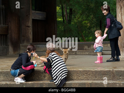 Les cerfs se promènent en liberté dans le centre de Nara. Les motifs de la préfecture de Nara au Japon Temple Todaiji Banque D'Images