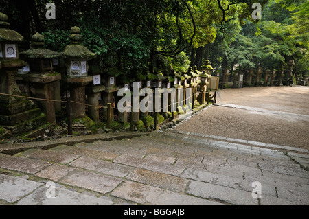 Japanese lanternes en pierre menant au temple principal. Kasuga-taisha (aka Kasuga Shrine). La ville de Nara. La Préfecture de Nara. Le Japon Banque D'Images