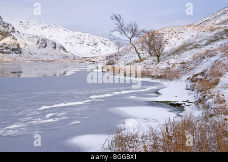 La neige et la glace, Loch Restil, reste et d'être reconnaissants, Arrochar, Argyll, Scotland, Décembre 2009 Banque D'Images