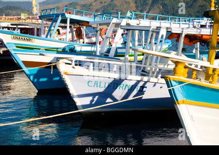 Bateaux de pêche aux couleurs vives s'asseoir dans le calme des eaux du port de la belle ville de Paraty, Rio de Janeiro, Brésil Banque D'Images