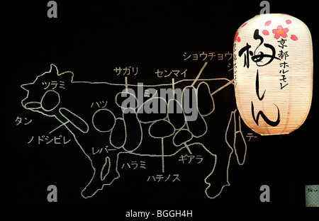 Schéma annoté il différentes coupes de viande bovine provenant d'une vache Banque D'Images