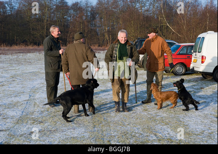 Fouets rencontrez avec gundogs au début du tournage par jour Banque D'Images