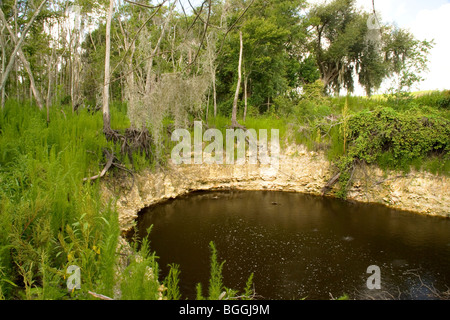 Doline, fenêtre karstique, en Floride Banque D'Images