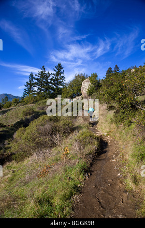 Randonnées d'une femme sur un sentier près de Muir Woods National Monument, Ocean View Trail, comté de Marin, en Californie, États-Unis d'Amérique Banque D'Images