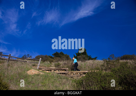Randonnées d'une femme sur un sentier près de Muir Woods National Monument, Ocean View Trail, comté de Marin, en Californie, États-Unis d'Amérique Banque D'Images