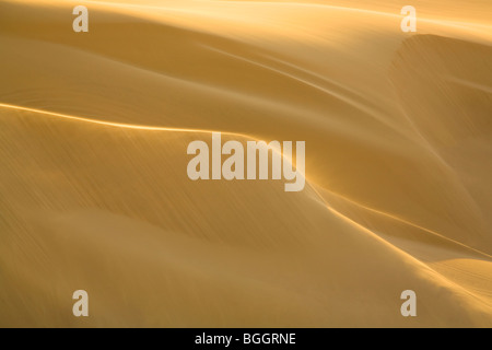 Dunes de sable, Désert du Namib, Namibie Banque D'Images