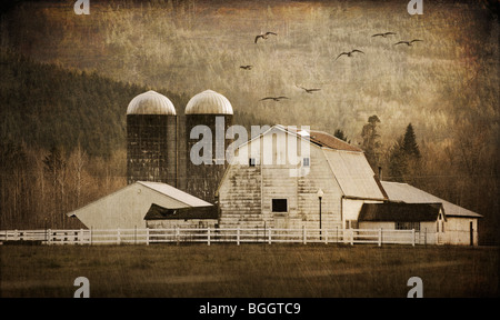 Cette ferme rurale avec grange et silos peuvent être vus le long de la Mt. Baker l'autoroute près de Black Diamond, Washington. Couche de texture ajoutée. Banque D'Images