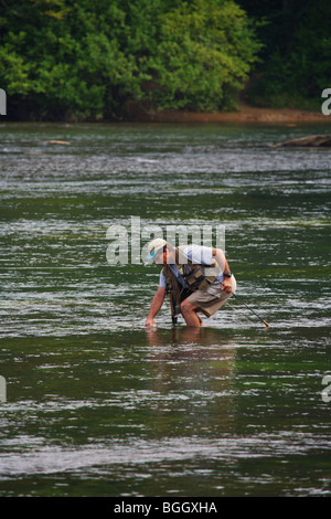 La pêche à la mouche de la truite d'atterrissage avec net Chattahoochee river Géorgie modèle ne libération Banque D'Images