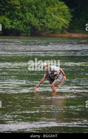 La pêche à la mouche de la truite d'atterrissage avec net Chattahoochee river Géorgie modèle ne libération Banque D'Images