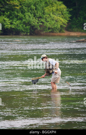 La pêche à la mouche de la truite d'atterrissage avec net Chattahoochee river Géorgie modèle ne libération Banque D'Images