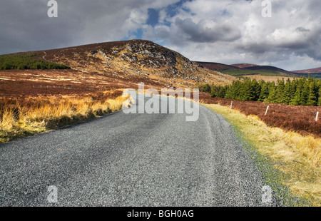 Scenic Road à Sally Gap, montagnes de Dublin, Irlande Banque D'Images