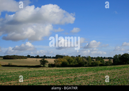 Campagne Près de l'aile, Leicestershire Banque D'Images