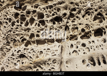 Rock érodé connu sous le nom de détail, Tafoni Elgol Ecosse Isle of Skye Banque D'Images