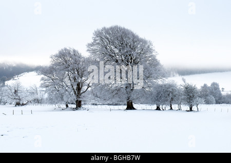 Un paysage de neige scène dans le Perthshire, Écosse Banque D'Images