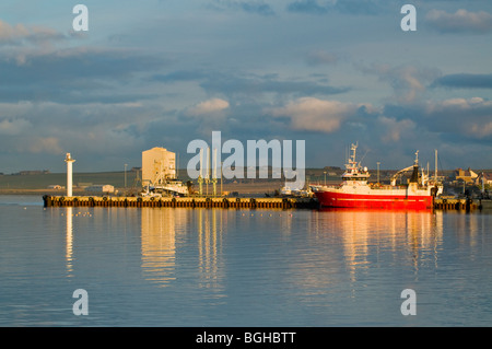 Kirkwall Orkney Harbour sur le continent, la région des Highlands en Écosse. 5807 SCO Banque D'Images