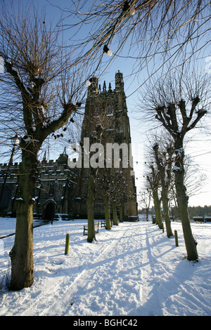 Ville de Wrexham, Wales. Compte tenu de la silhouette le chemin bordé d'arbres menant à l'église paroissiale de St Giles' sur un des hivers enneigés jour. Banque D'Images