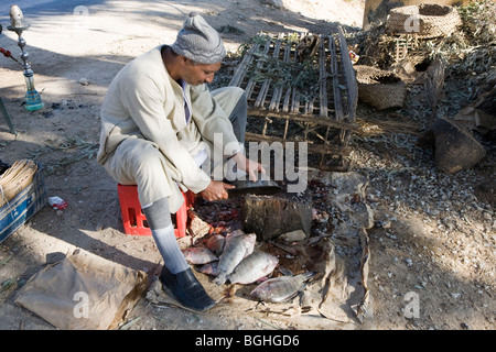 L'homme poisson frais de nettoyage en vente sur le bord de la route par le Nil en moyenne Égypte Banque D'Images
