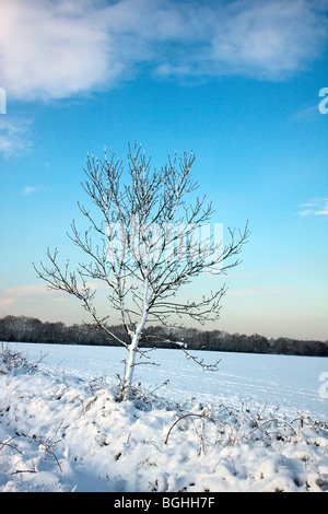 Scène d'hiver dans la région de East Grinstead Banque D'Images