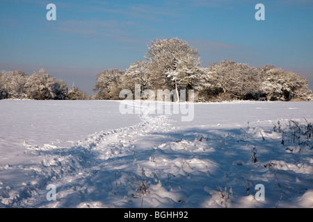 Scène d'hiver dans la région de East Grinstead Banque D'Images