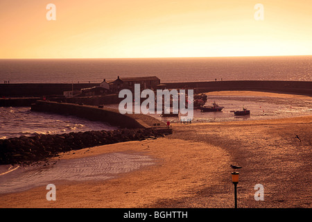 Lyme Regis harbour vu de la Lister & Langmoor Gardens, Dorset, England, UK Banque D'Images