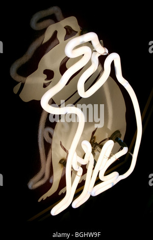 Un gros plan d'un chien neon sign Banque D'Images