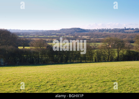 Vue paysage à travers le parc national de South Downs dans Dockenfield Hampshire sur un beau jour Banque D'Images