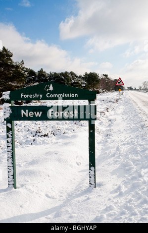 New Forest Hampshire dans la neige, prises près de Stony Cross Hampshire Angleterre Banque D'Images