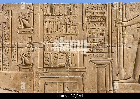 Relief représentant les instruments médicaux couloir extérieur le Temple de Sobek et Haroeris à Kom Ombo dans la vallée du Nil, de la Haute Égypte Banque D'Images