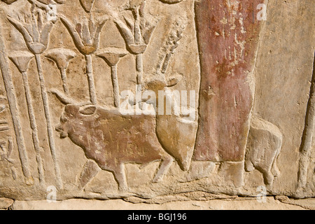 De l'allégement peint et antilope bull salle intérieure du Temple de Sobek et Haroeris à Kom Ombo dans la vallée du Nil, de la Haute Égypte Banque D'Images