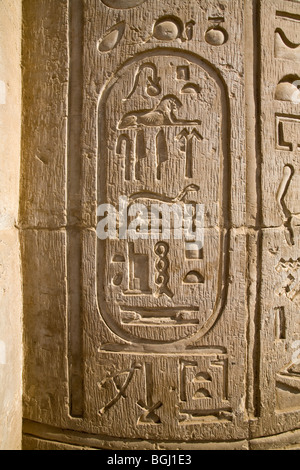 Cartouche de Ptolémée IX Soter (II) sur le pilier dans le Temple de Sobek et Haroeris à Kom Ombo dans la vallée du Nil, de la Haute Égypte Banque D'Images