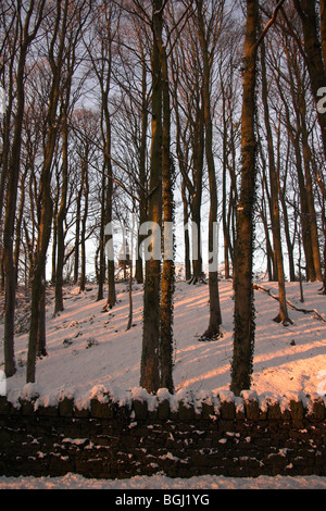 En bois couvert de neige au coucher du soleil, Parc du levier, Rivington, Horwich, Greater Manchester, UK Banque D'Images