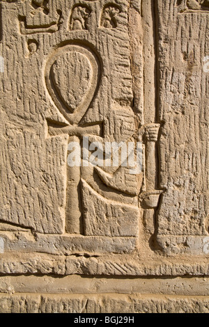 Soulagement de l'ankh, avec armoiries sur le personnel du Temple de Sobek et Haroeris à Kom Ombo dans la vallée du Nil, de la Haute Égypte Banque D'Images