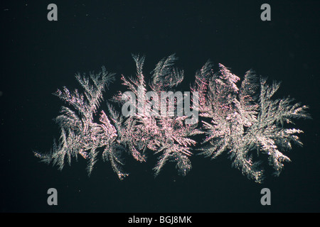 Cristaux de glace sur un pare-brise de voiture par temps froid Banque D'Images