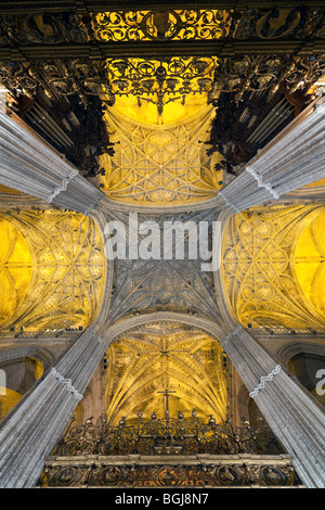 Voûtes de la nef de cathédrale, Séville, Andalousie, Espagne Banque D'Images