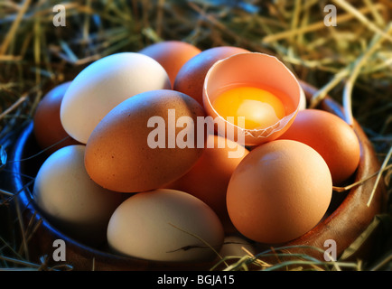 Les oeufs de poule dans le faisceau avec la moitié d'un oeuf cassé dans la lumière du matin. Banque D'Images