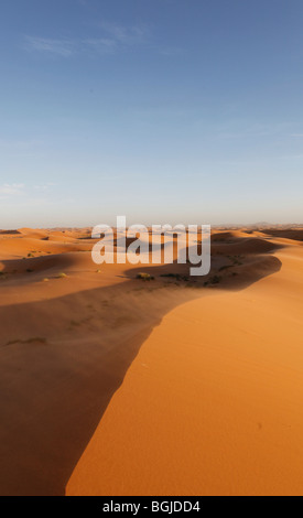 Paysage du désert du Sahara au Maroc afrique du nord Banque D'Images