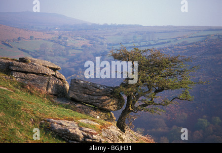 Près de Tor banc Holne Devon Dartmoor National Park Avril 2000 Banque D'Images